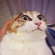 阿姆斯特朗回旋加速喷气式阿姆斯特朗炮