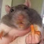 RATALPARGATA