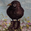 Corvid