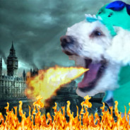 Doggernot