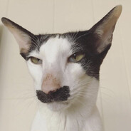 !       𝐌𝐲𝐬𝐭𝐢𝐜