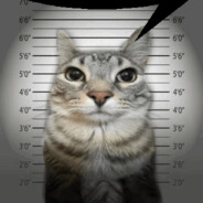 Я и бал принцесс