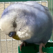 キーマウ初心者 Y'cha