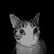 sei avatar
