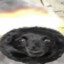 Kappyb72
