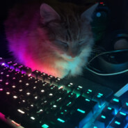 Regi