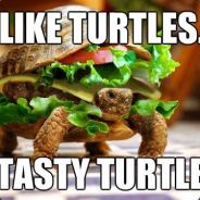 Tastyturtles