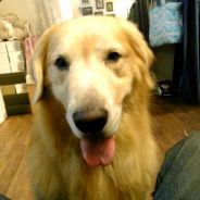 YARTHUR1 - steam id 76561197961413544