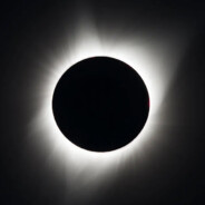 Black -