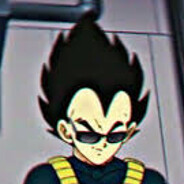 Prince Vegeta IV