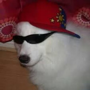 theBony - steam id 76561198401842225