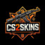 CS2SKINS.COM.PL