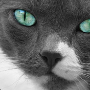 僵尸也是有胸的