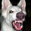 a dog