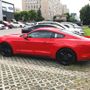 @你们的禄哥哥i