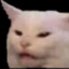 CatNotAmused