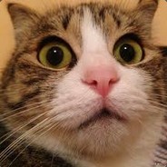 Чесночный Сквад Ty