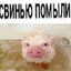 пидорас негр