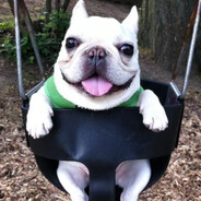 cocksucker2011's avatar