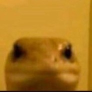 SAYGIDEĞER YILAN BEY