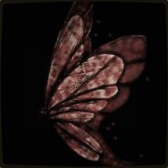 Return of the Noooob^