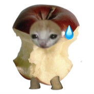 我去给你做四菜一汤