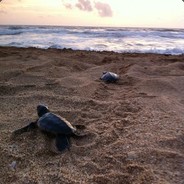 Bad_Ass_Insulin_Pump