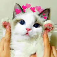 IVAN avatar