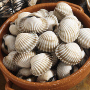 Clams