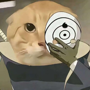 圆头耄耋（白面具）