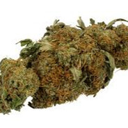 buds's avatar