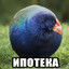 берувдолгберувро