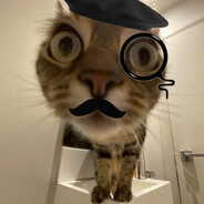 Meow))))