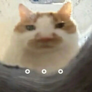 我是睿睿小淘气