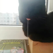 杀你的是NNNU最强雇佣兵