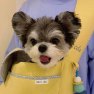 帅到你我真的对不起