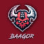 BaaGOR