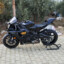 YzfR1