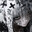 yukithedead