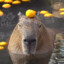 capybara