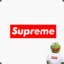 Supreme9511