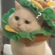 修猫汉堡🍔