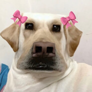 高冷帅哥驭驭子