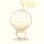 Sprout
