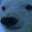 Polar