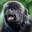 super monkey