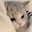 meowmeow77