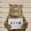 我菜我不难受吗