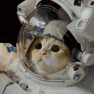 起不来的长颈鹿