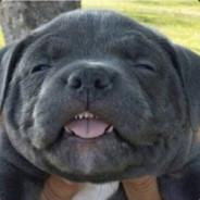 mrtvej